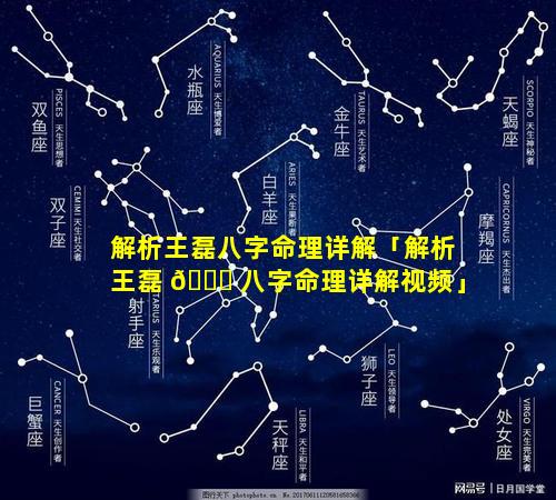 解析王磊八字命理详解「解析王磊 🐘 八字命理详解视频」